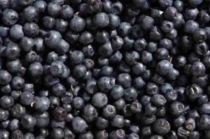 Close-up of fresh blueberries piled together.
