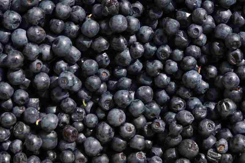 Close-up of fresh blueberries piled together.