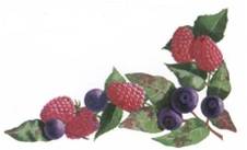 A collection of raspberries and blueberries with green leaves on a white background.