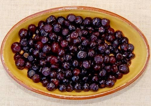 Close-up of ripe blueberries growing on leafy bushes.