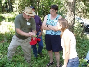 People examining something in a forest setting.
