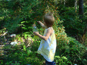 Child picking berries in a lush forest.