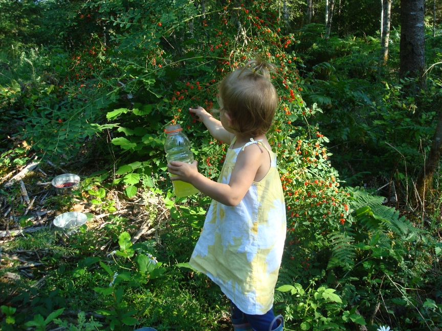 A child in a white dress exploring a lush green garden.