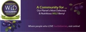 A vibrant community promoting delicious, nutritious wild edibles like huckleberries.