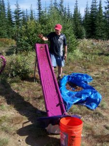 Person outdoors with a pink ramp and blue tarp, surrounded by trees.