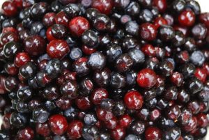 Close-up of ripe, dark-colored berries.