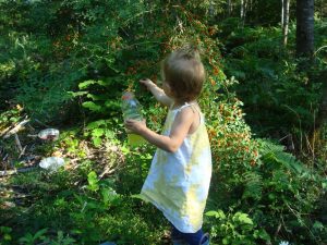 Child picking berries in a forest.