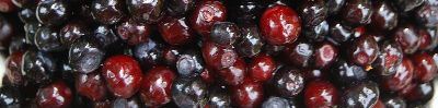Close-up of fresh red and dark berries clustered together.